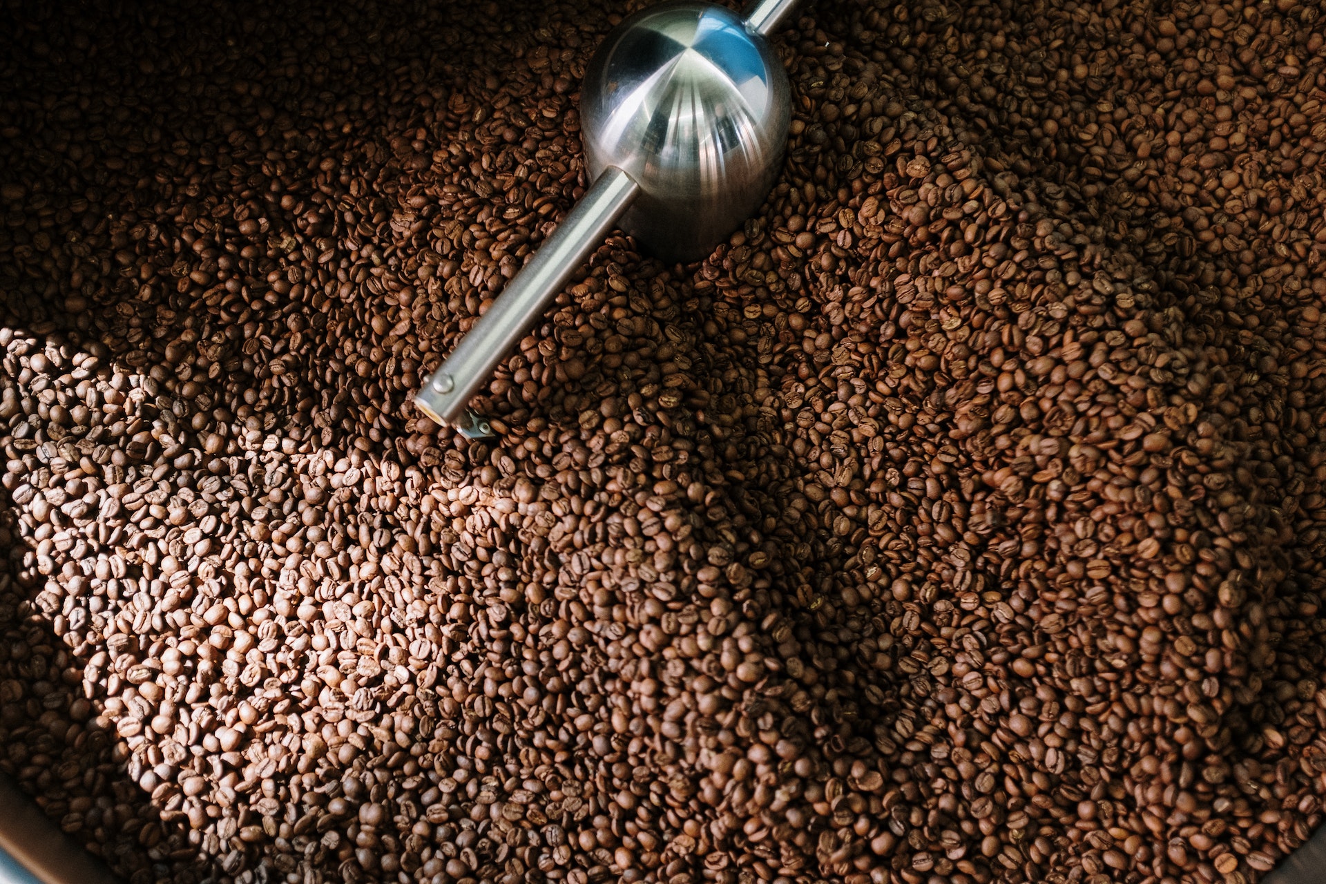 Roasting coffee beans mildly for vegan coffee